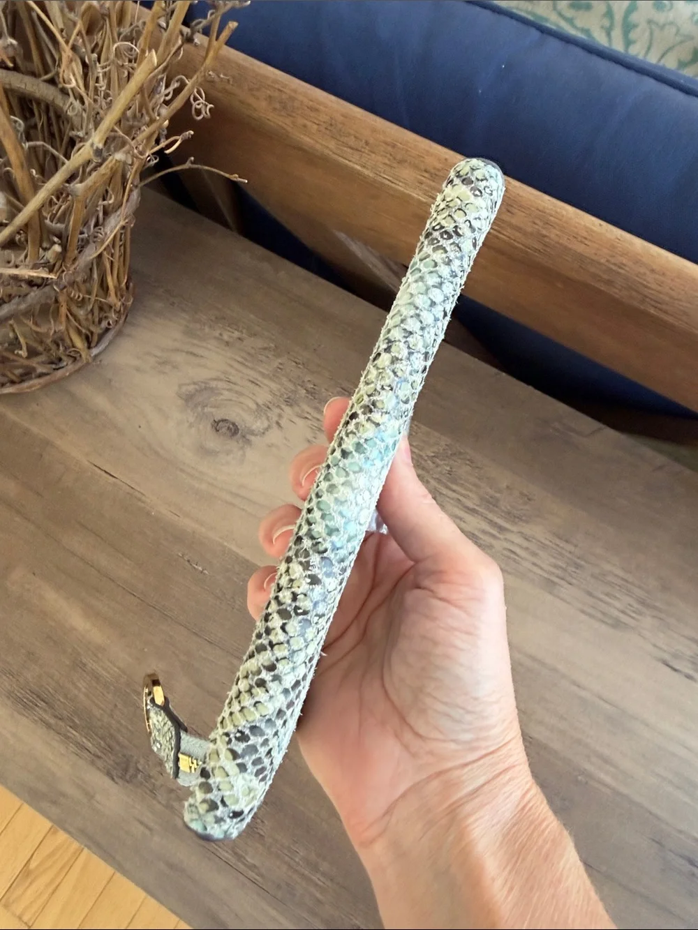 G.I.L.I. Snake-Print Zip Pouch Wallet in Light Blue and Beige